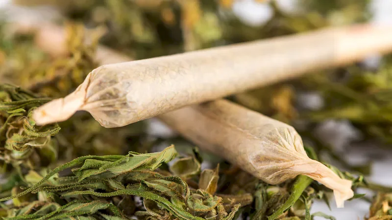 sto-je-cbd-hash-03